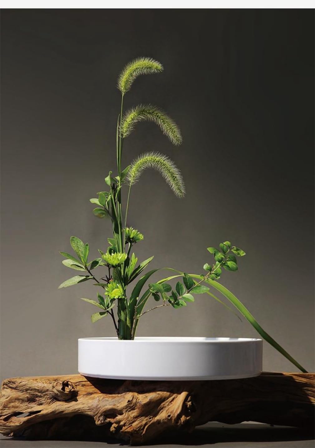 Amazon.co.jp: 花器 水盤 花瓶 盆栽鉢 プラスチック製 生け花用